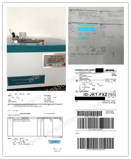 Customer From Indonesia Purchased Oxygen Bomb Calorimeter in March 2020
